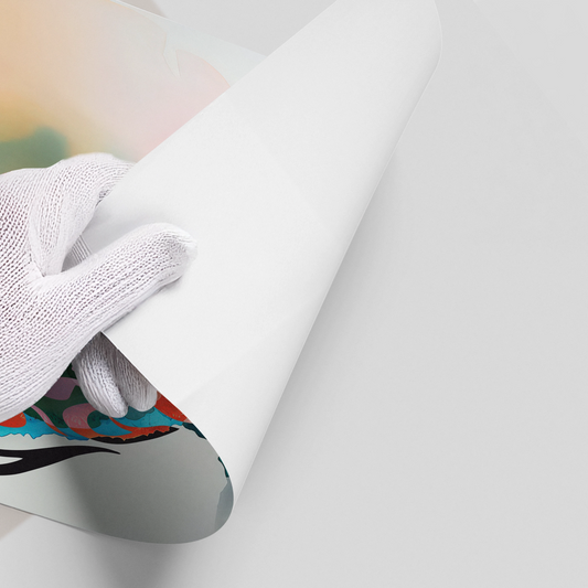 Fluid Script - Poster