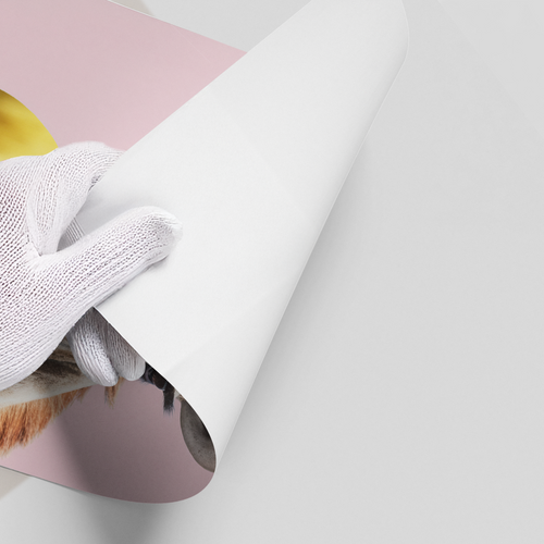 Giraffe Bubble Gum - Poster