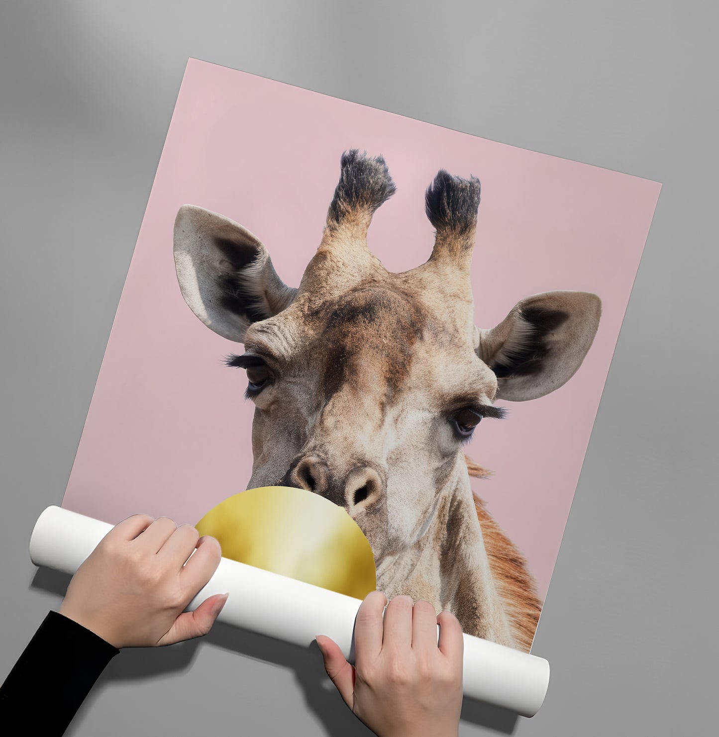 2Giraffe Bubble Gum - Poster