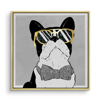 Gold framed canvas print of French Bulldog grey background