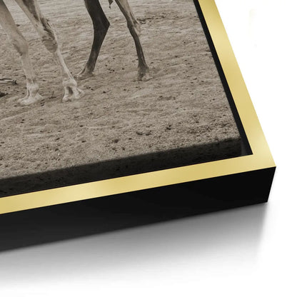 The First Touch - Canvas