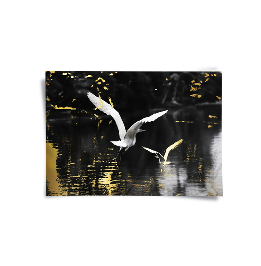 Gold and White Heron - Poster