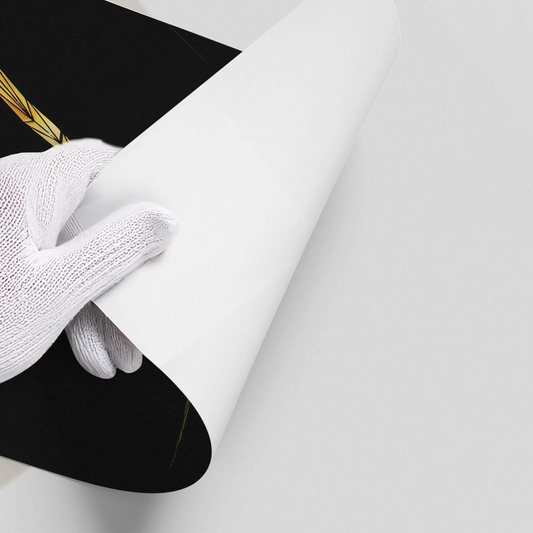 Golden Hummingbird - Poster