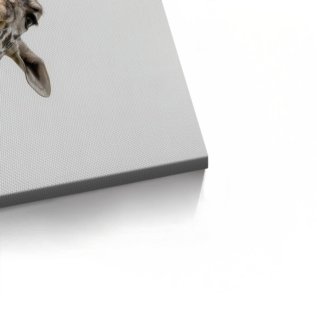2Happy Giraffe - Canvas