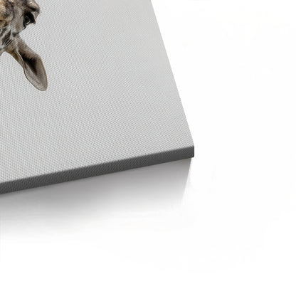 Happy Giraffe - Canvas