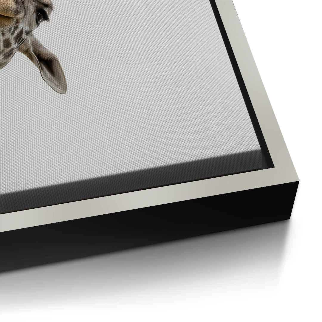 2Happy Giraffe - Canvas