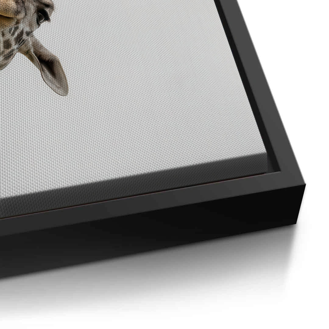 2Happy Giraffe - Canvas