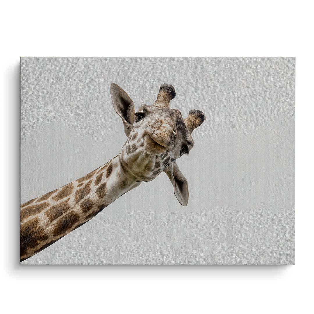 2Happy Giraffe - Canvas