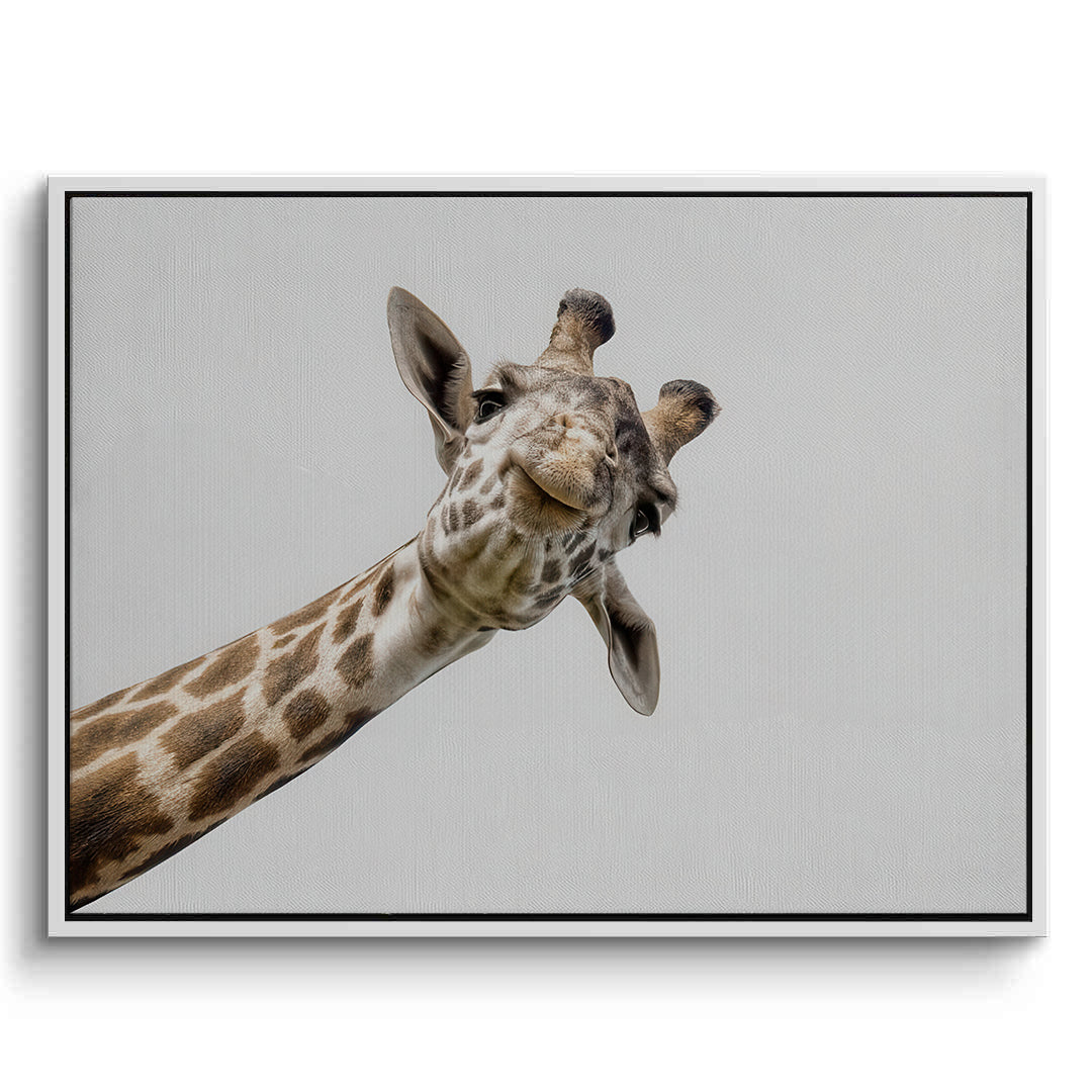 2Happy Giraffe - Canvas