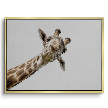 Happy Giraffe - Canvas