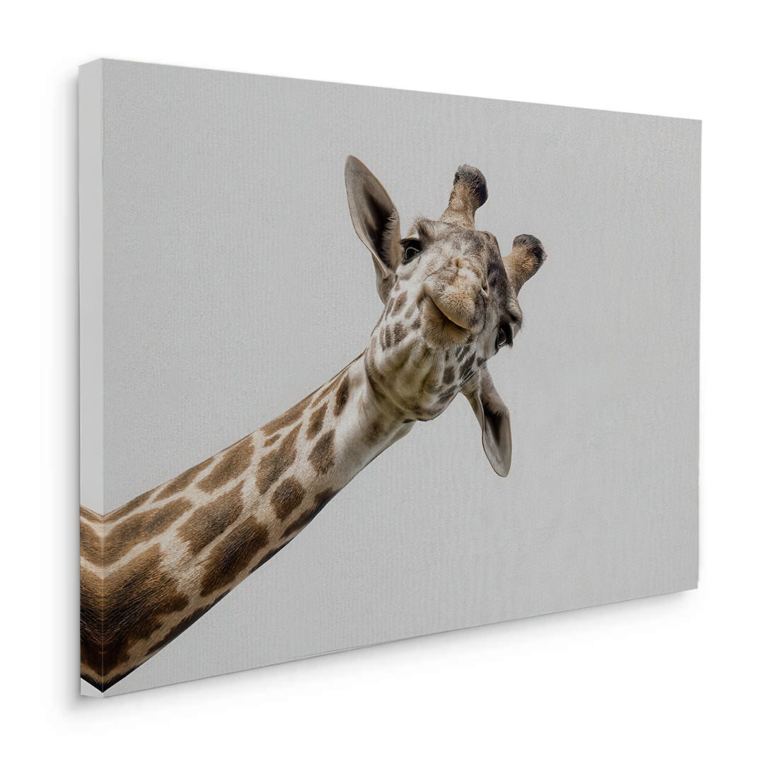 2Happy Giraffe - Canvas