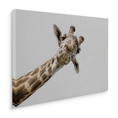 Happy Giraffe - Canvas