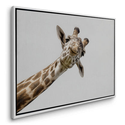 Happy Giraffe - Canvas