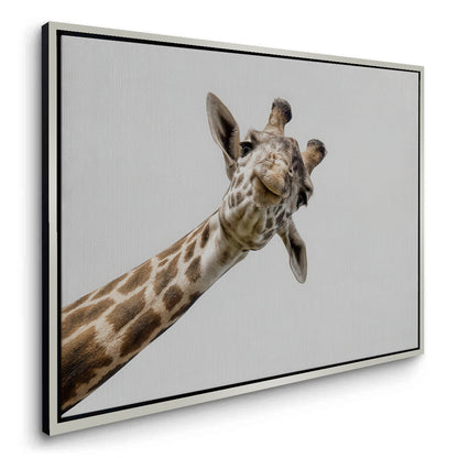 Happy Giraffe - Canvas