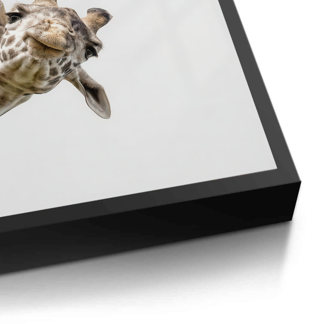 2Happy Giraffe - Fine Art