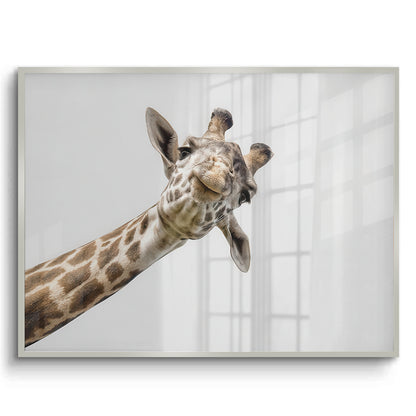 Happy Giraffe - Fine Art
