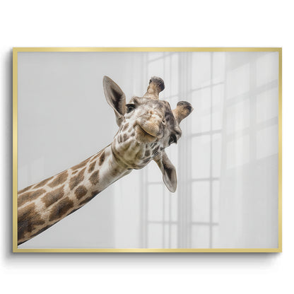 Happy Giraffe - Fine Art
