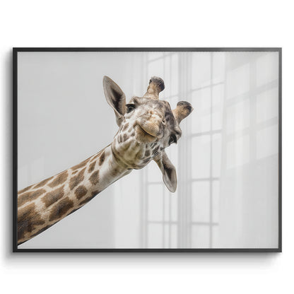 Happy Giraffe - Fine Art
