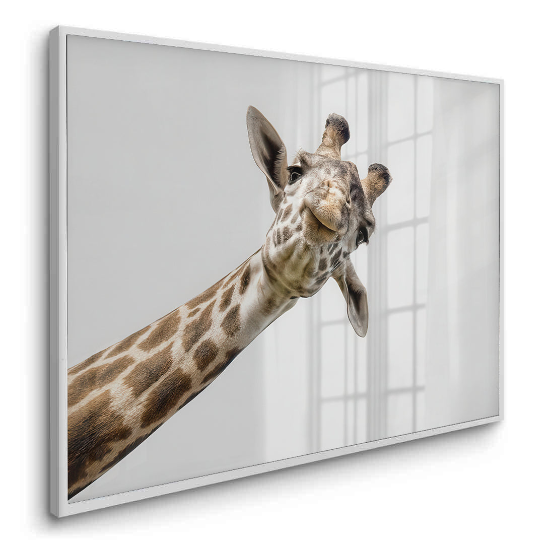 2Happy Giraffe - Fine Art