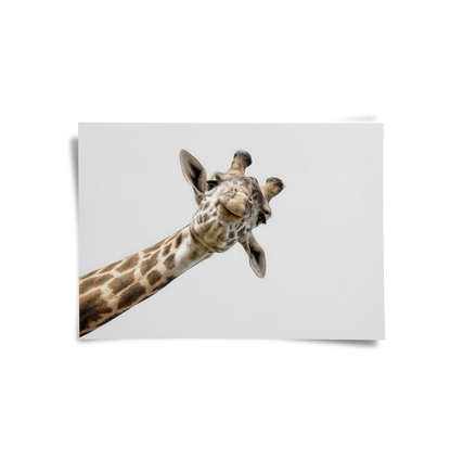Happy Giraffe - Poster