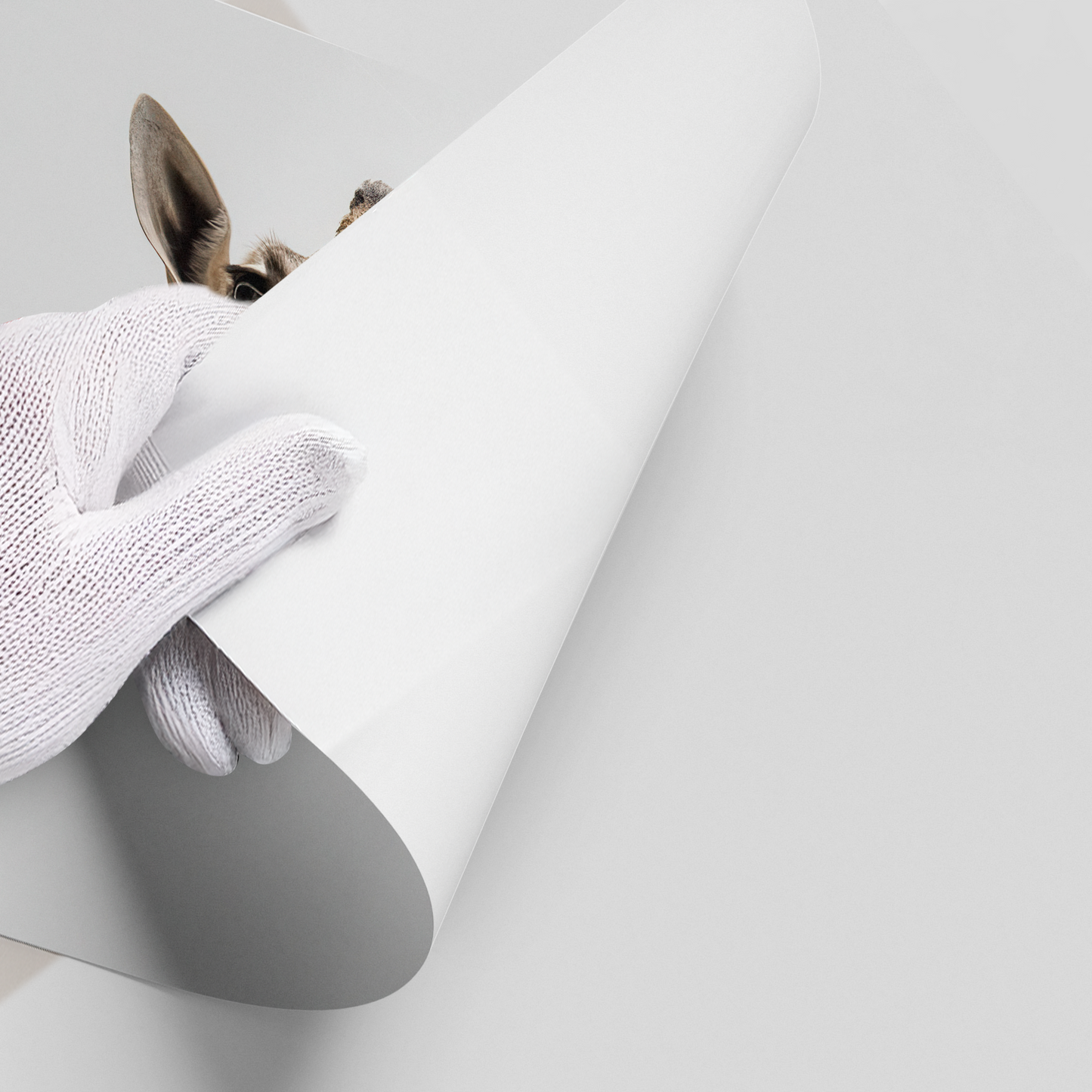 2Happy Giraffe - Poster