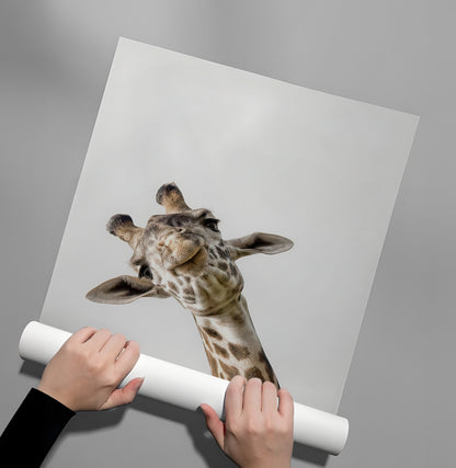 Happy Giraffe - Poster