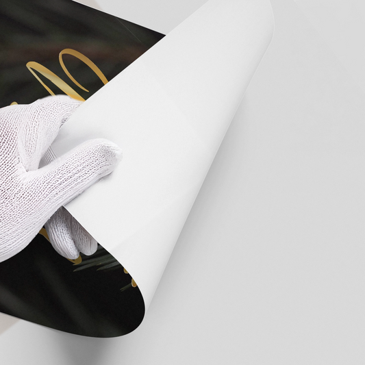 Joy to the World - Poster