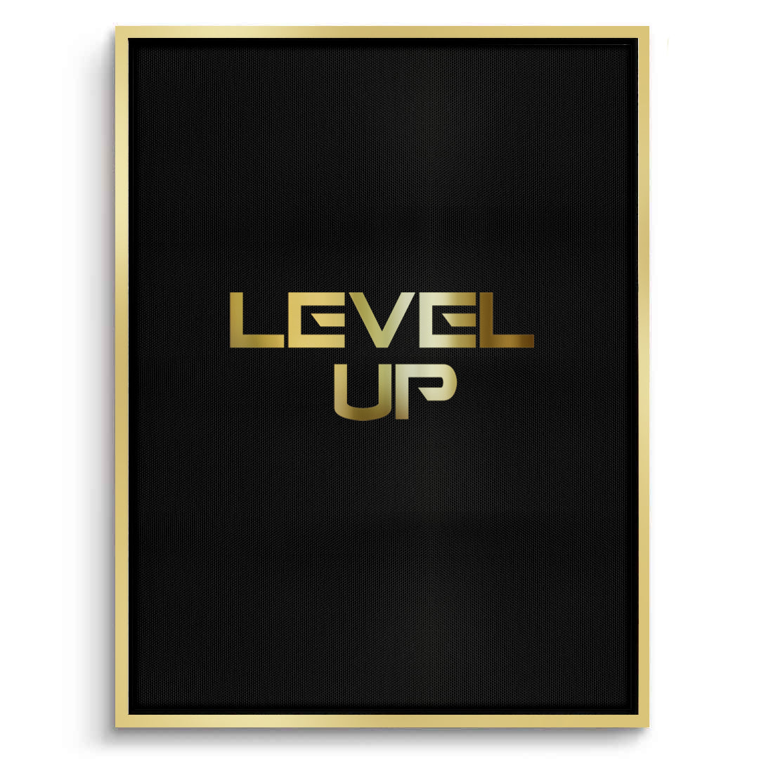 2Level Up - Canvas