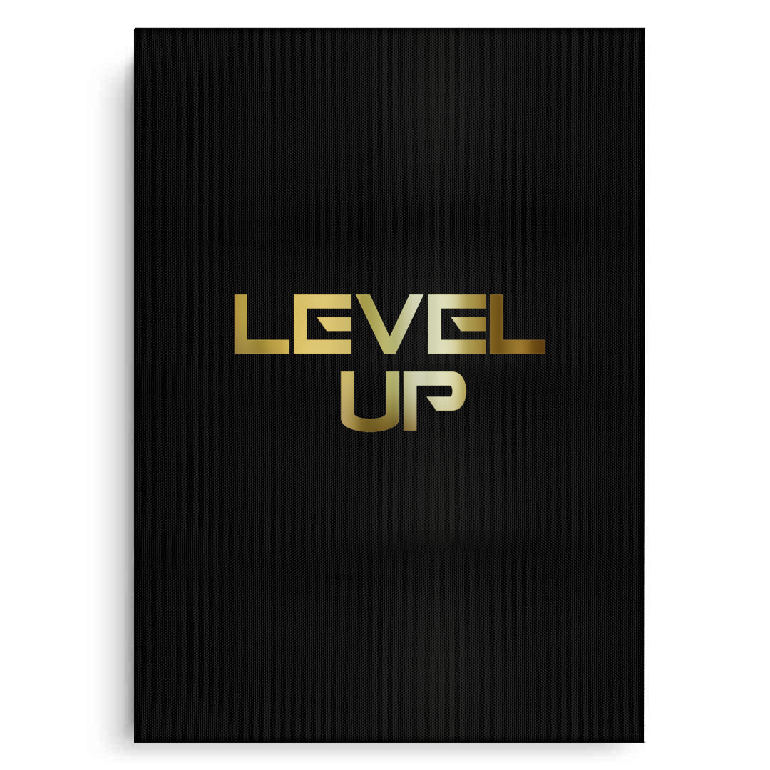 2Level Up - Canvas
