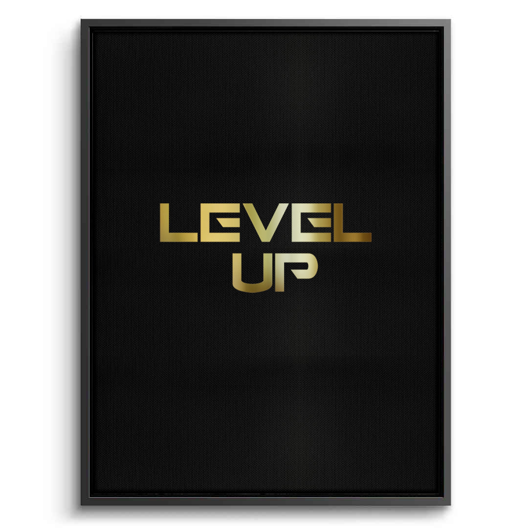 2Level Up - Canvas