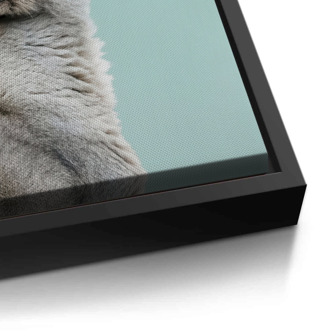 2Lion Cub Butterfly - Canvas