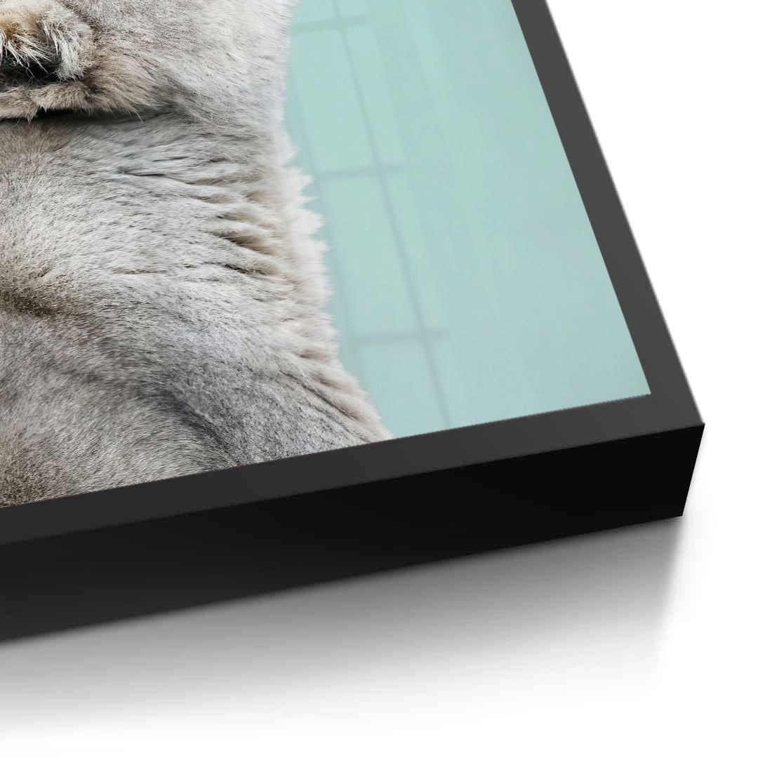 2Lion Cub Butterfly - Fine Art