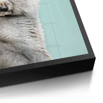 Lion Cub Butterfly - Fine Art