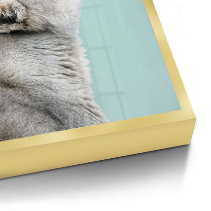 Lion Cub Butterfly - Fine Art