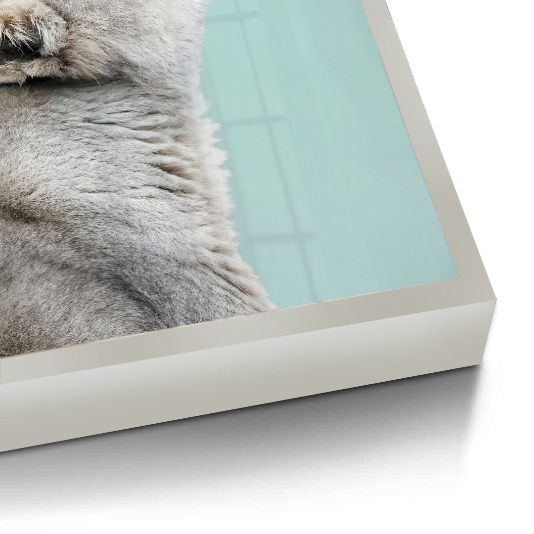 2Lion Cub Butterfly - Fine Art