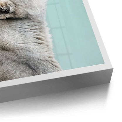 Lion Cub Butterfly - Fine Art