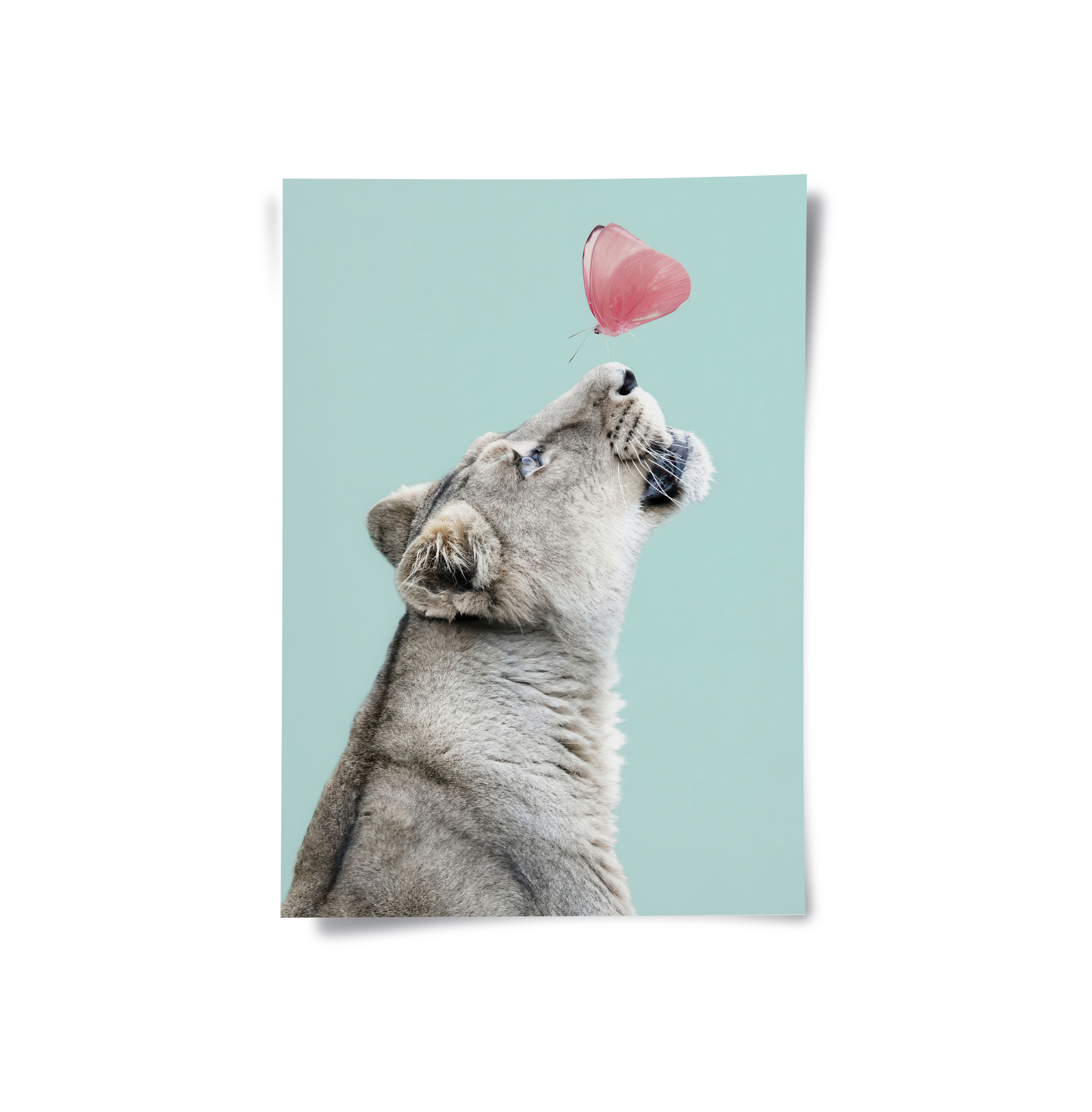 2Lion Cub Butterfly - Poster