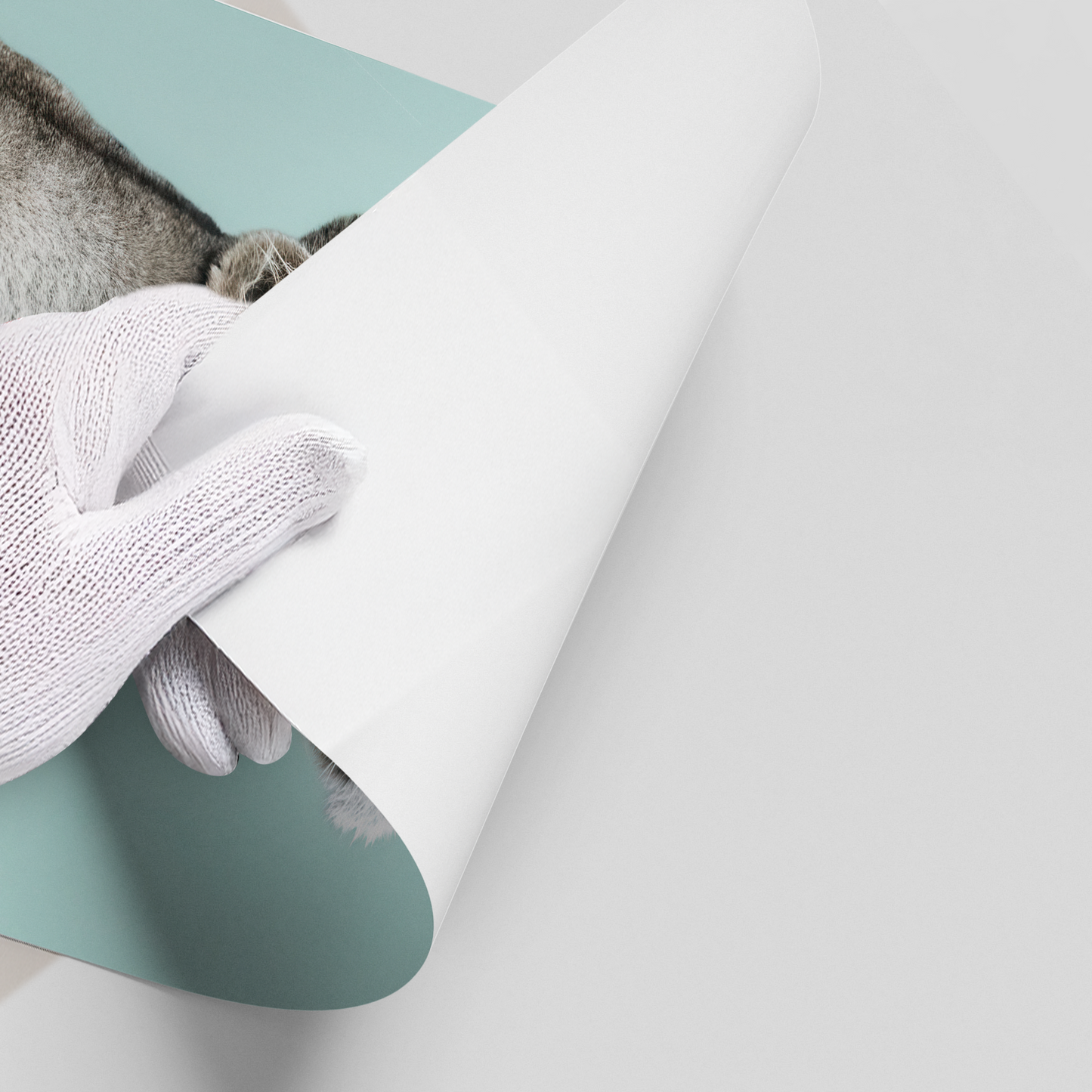 2Lion Cub Butterfly - Poster