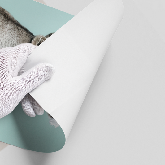 Lion Cub Butterfly - Poster