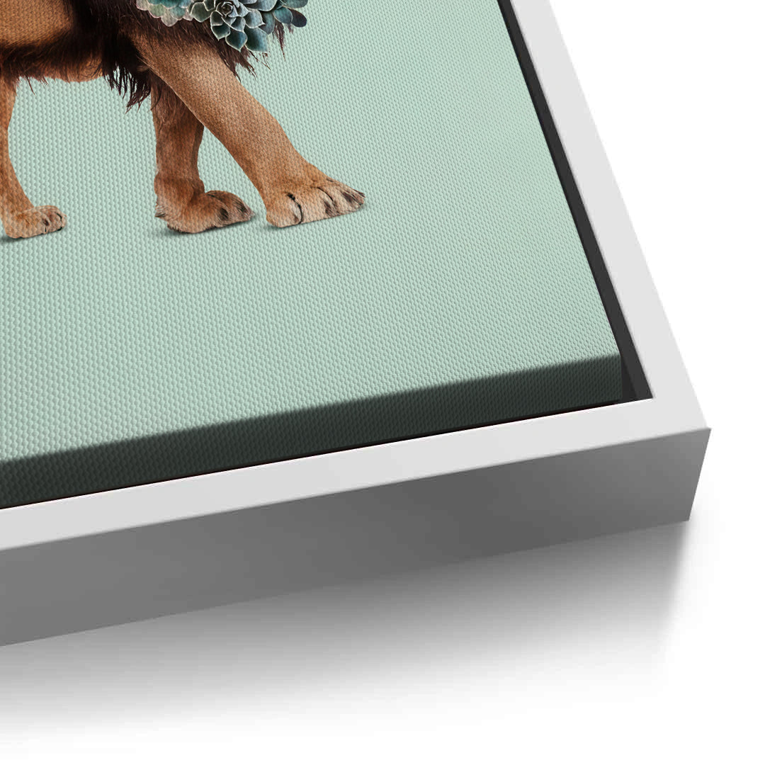 2Lion with Succulent - Canvas