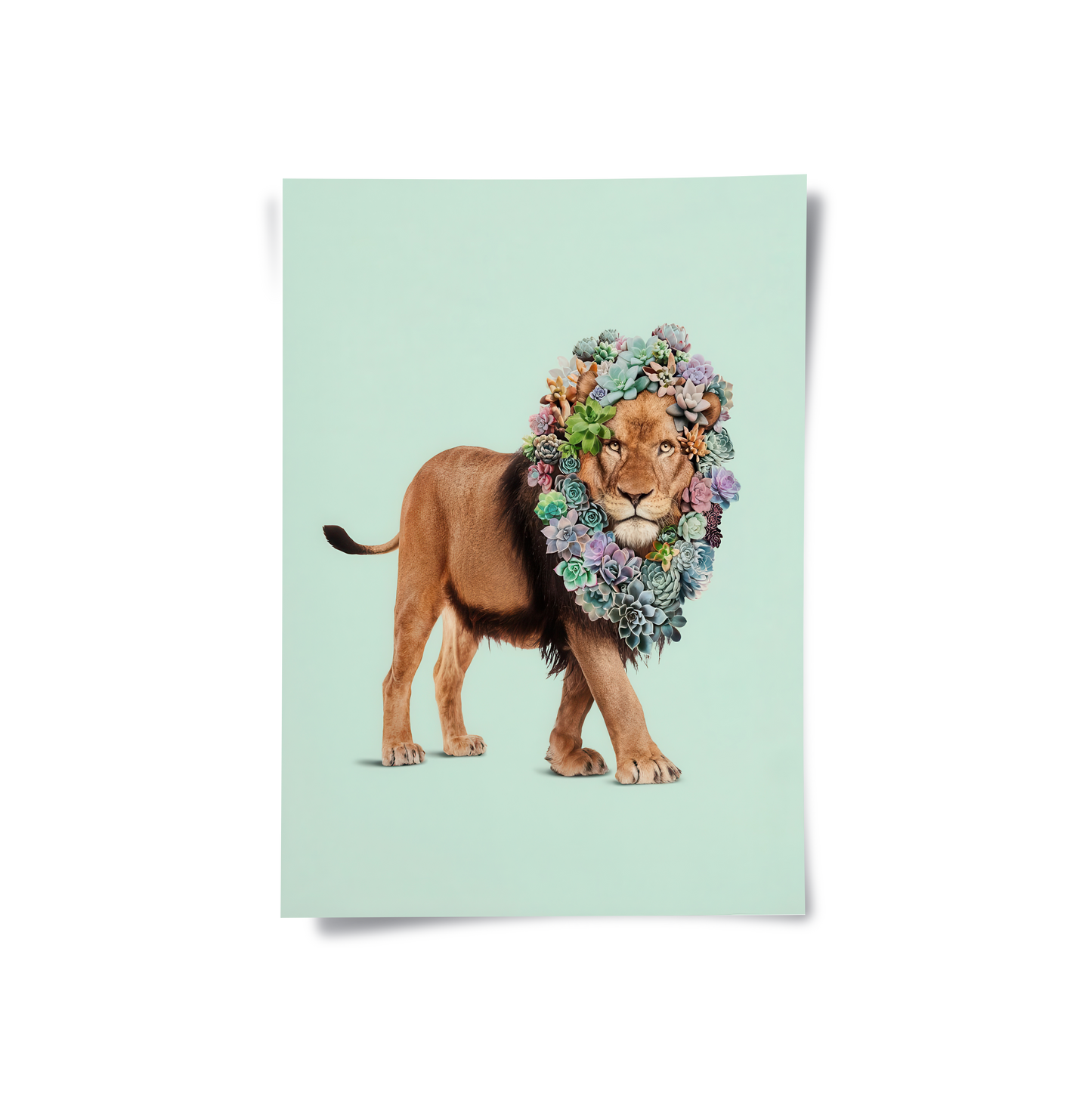 2Lion with Succulent - Poster