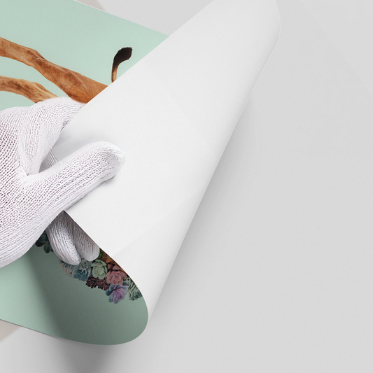 Lion with Succulent - Poster