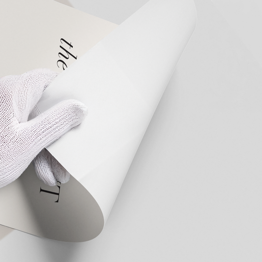 Live In The Moment - Poster