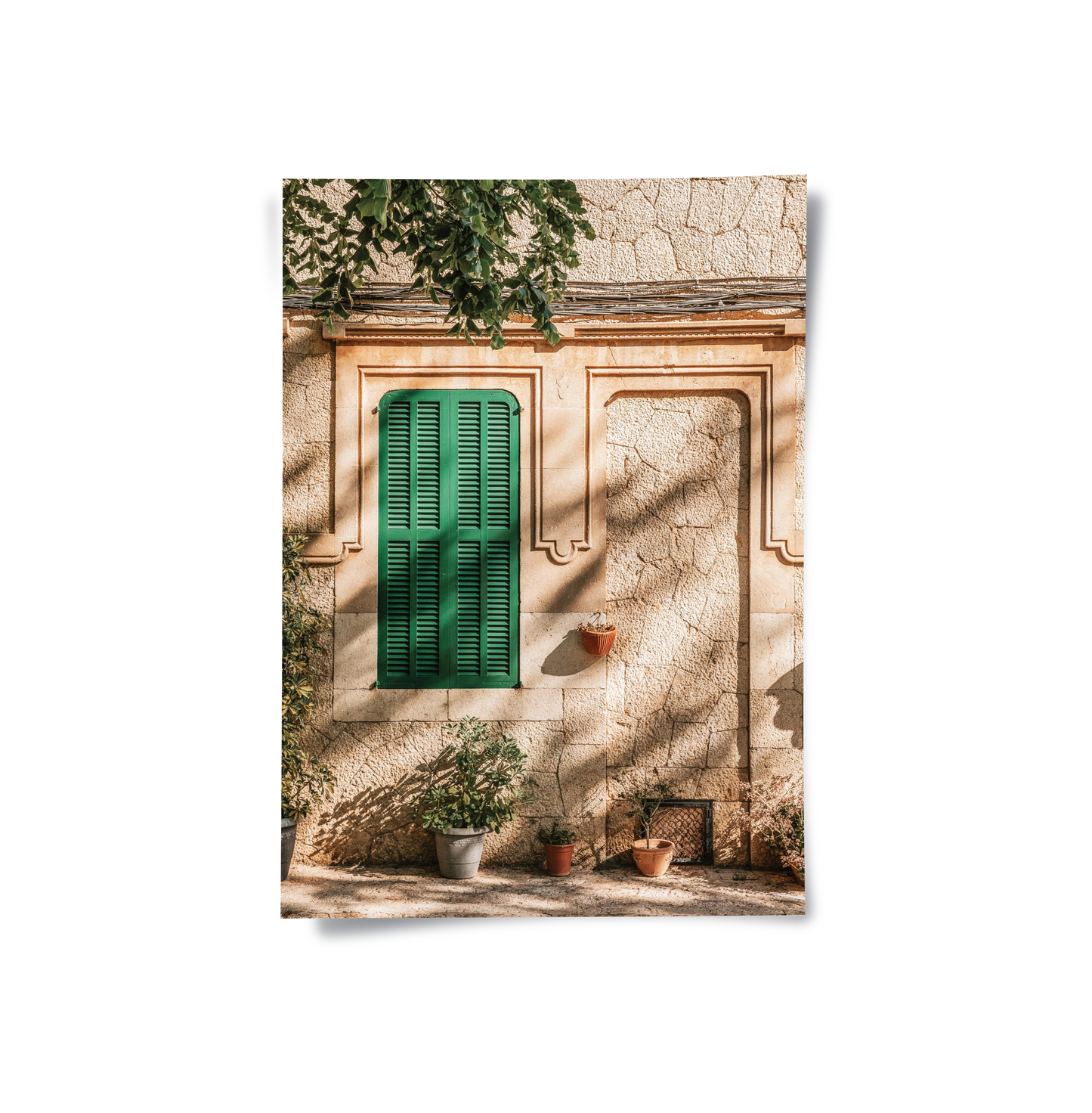 2Mediterranean Green Shutters - Poster