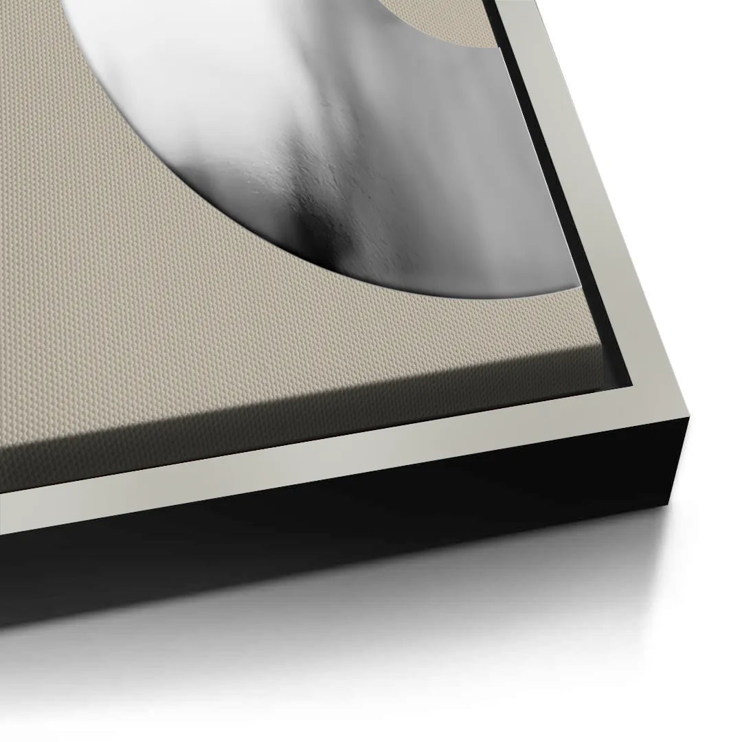 2Metallic Split Circle Set of 2 - Canvas