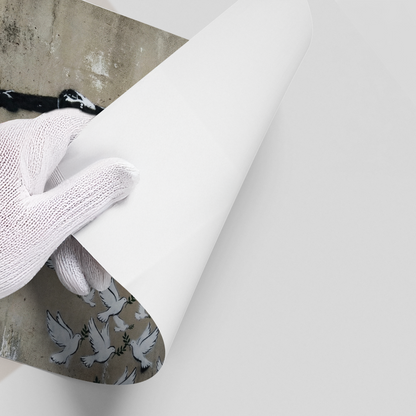 Military Plane with Peace Doves - Poster