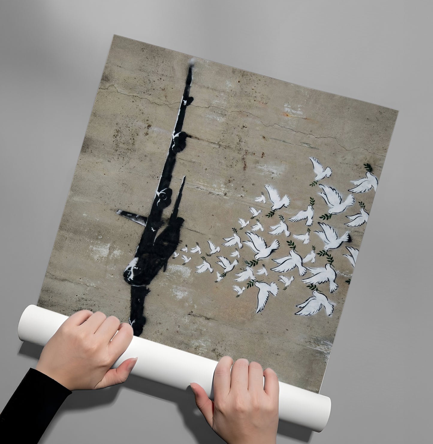 2Military Plane with Peace Doves - Poster