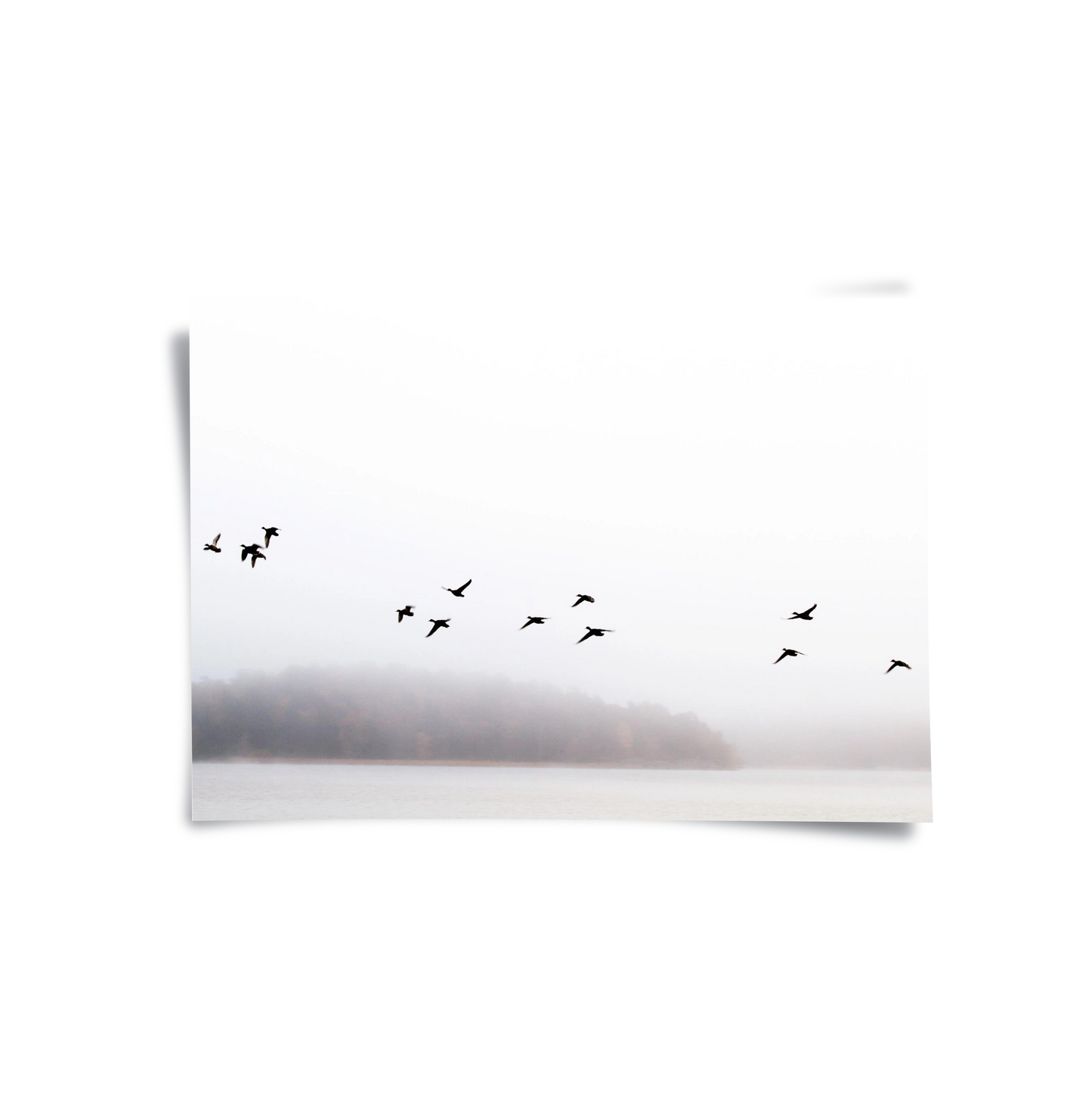 2Minimalist Birds Over Misty Lake - Poster