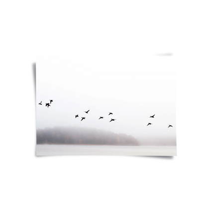 Minimalist Birds Over Misty Lake - Poster