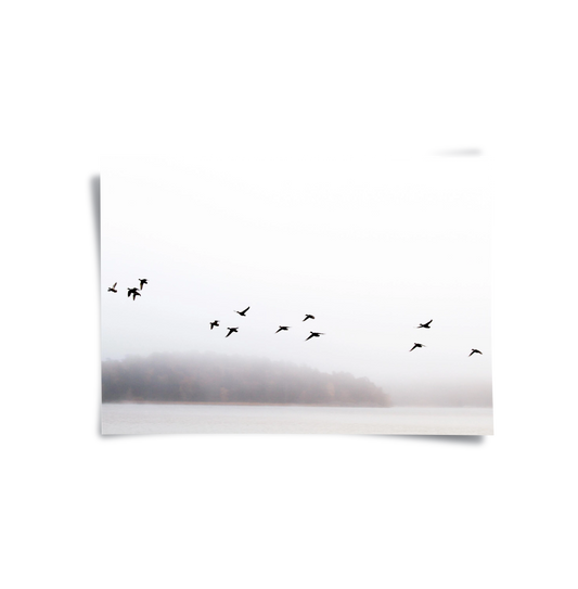 Minimalist Birds Over Misty Lake - Poster